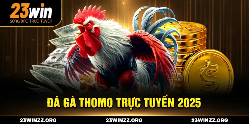 Đá gà Thomo trực tuyến 2025