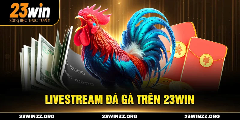 Livestream đá gà trên 23win